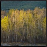 Springtime, Salmon River, Idaho by Michael Elenko