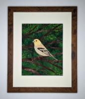 American Goldfinch by Suzanne Uschold