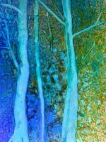 Blue Trees by Sharon Munger