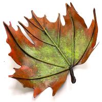 Norway Maple Leaf by Charlotte Masi