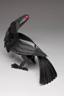 Crow by Gunter Reimnitz