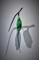 Luna, Chrysalis series, 2024 by Karen Willenbrink-Johnsen