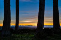 West to the Olympics by Michael Elenko