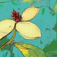 Magnolia #10 by Dana Squires