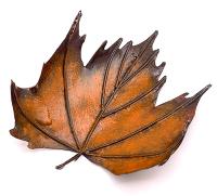 American Sycamore Leaf by Charlotte Masi