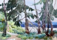 Maury Marine Park by Catherine Gill