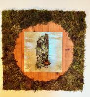 Gathering Moss by Craig Stull