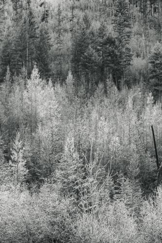 Above O'Brien Creek, Montana by Michael Elenko