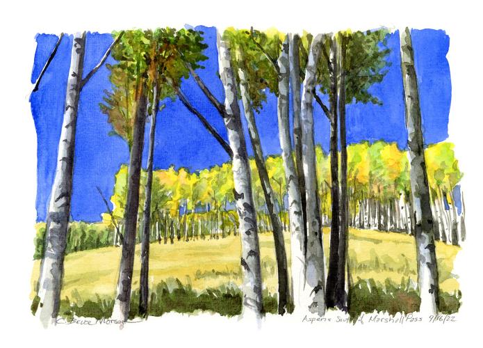 Aspens & Blue Sky, 2022 by Bruce Morser
