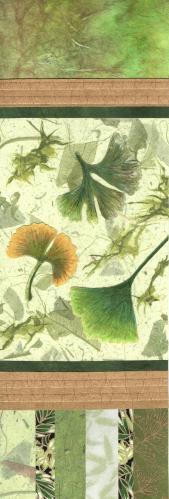 The Ginko: A Living Fossil by Janice Mallman