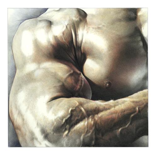 Clean Muscles, 2004 by Bruce Morser