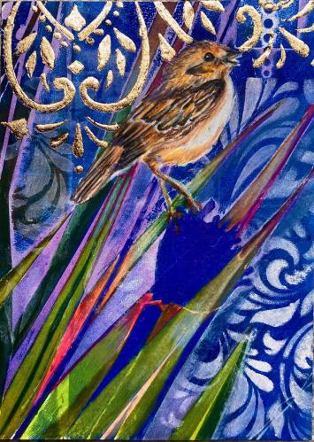 Endangered Grasshopper Sparrow #2 by Sue Hardy