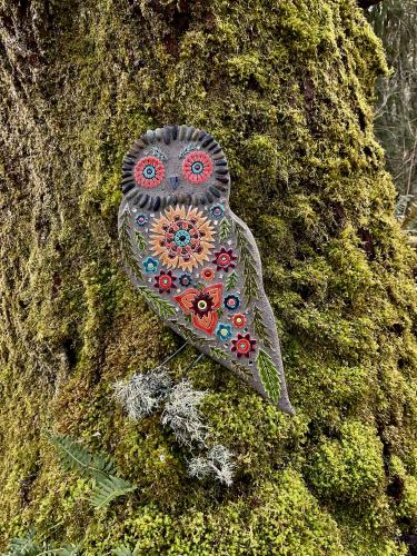Elf Owl by Clare Dohna
