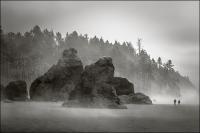 Beach Walkers, Rising Steam, Ruby Beach by Terry Donnelly