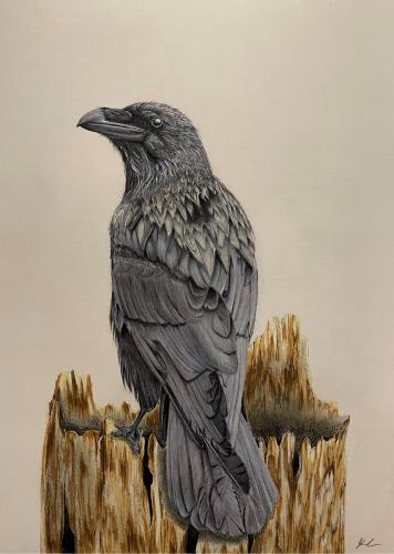 Raven by Joshua Lee