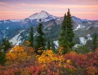 Mount Baker From Artist Ridge by Mary Liz Austin