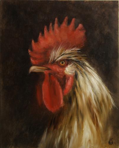 Rooster Portrait by Erin Schulz