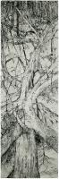 A Tree Never Dies Intestate by Juliet Shen