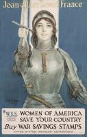 Joan of Arc Saves France: Women of America Save Your Country by Matt Bergman Collection