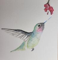 Colibri by Jeanne Marie Thomas