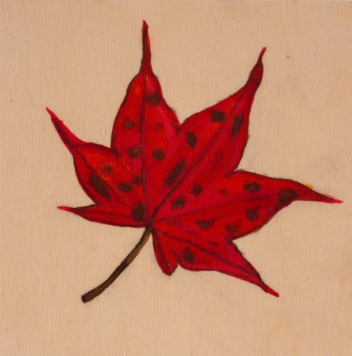 Leaf (2) by Cathy Sarkowsky