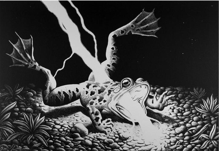 Inspiration, 2011 by Jim Woodring
