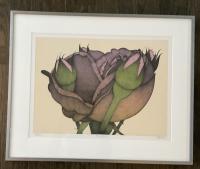 Roses 52/75 by Art Hansen